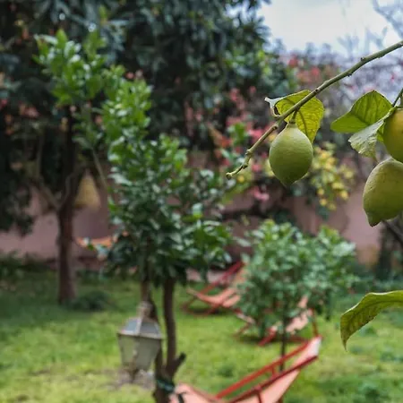 Lejlighed Secret Garden House Lisboa