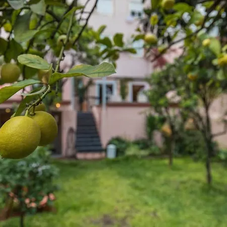 Secret Garden House דירה *